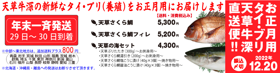 お歳暮・お正月用 鯛・鰤