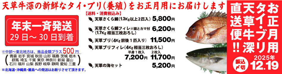 お歳暮・お正月用 鯛・鰤